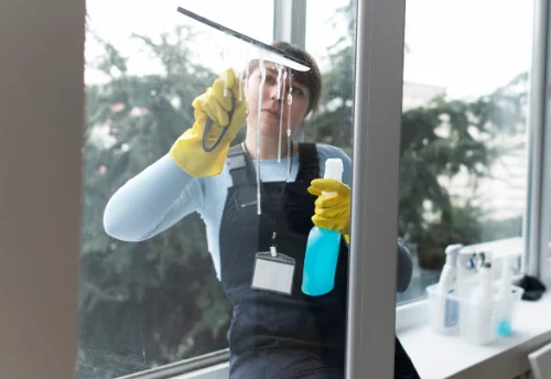 Nettoyage de vitres intérieures et extérieures à Bouzel